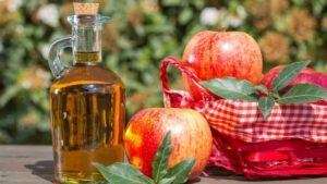 giam tao e1652756746865 1