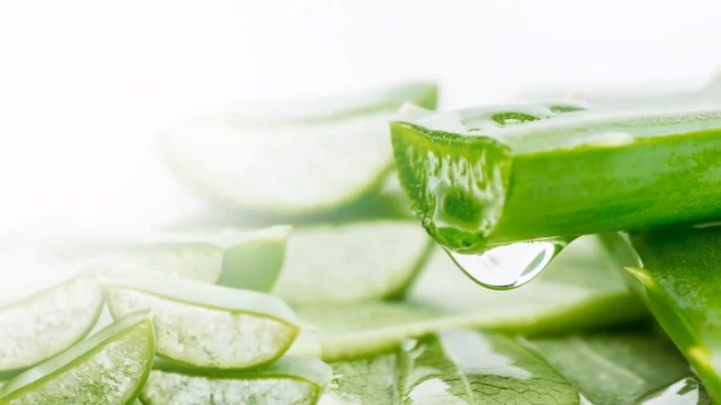 Mẹo làm đẹp da với nha đam không bị ngứa