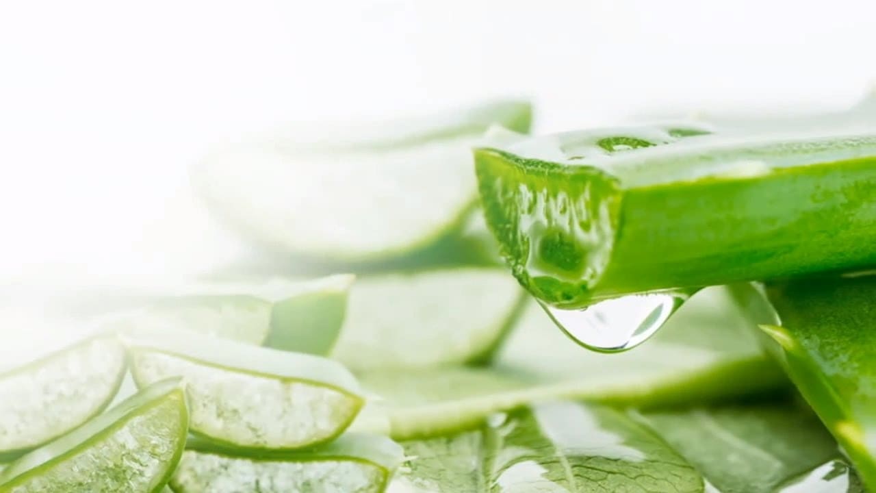 Mẹo làm đẹp da với nha đam không bị ngứa