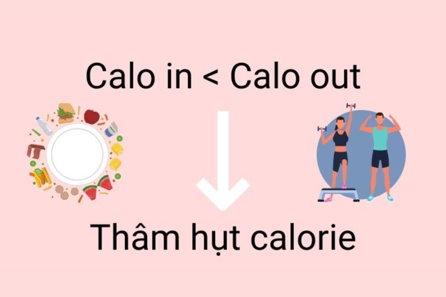 Thâm hụt calo được nhiều chị em áp dụng để giảm mỡ bụng nhanh chóng