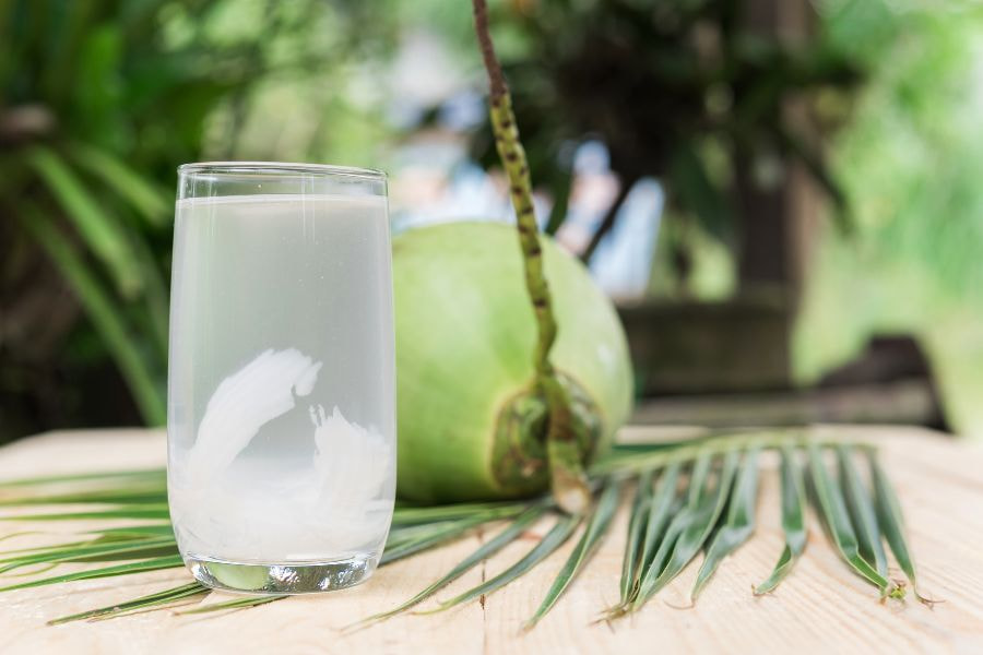 Nước dừa hỗ trợ trao đổi chất tốt hơn