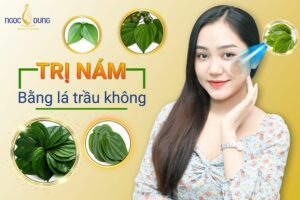 Trị nám bằng lá trầu không