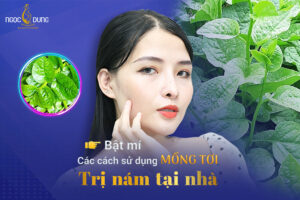Mồng tơi trị nám
