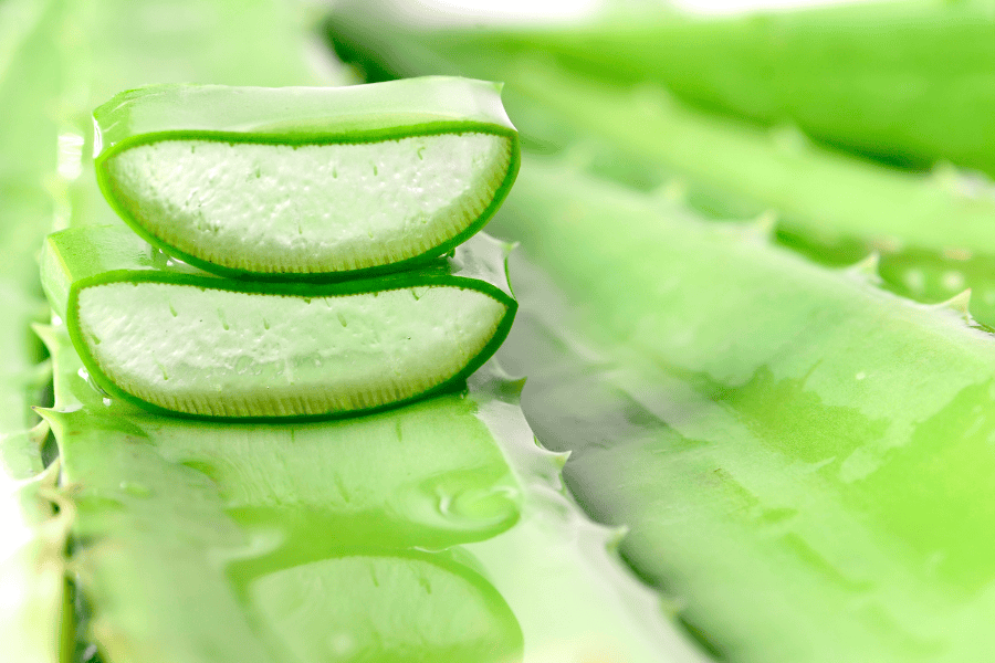 Nha đam giúp làm dịu viêm, tái tạo tế bào da và cấp ẩm sâu 