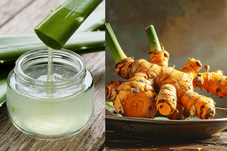 Nha đam và nghệ tươi giúp hỗ trợ giảm sạm màu một cách tự nhiên