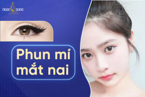 Phun mí mắt nai giá bao nhiêu? Ai phù hợp? Giữ được bao lâu?