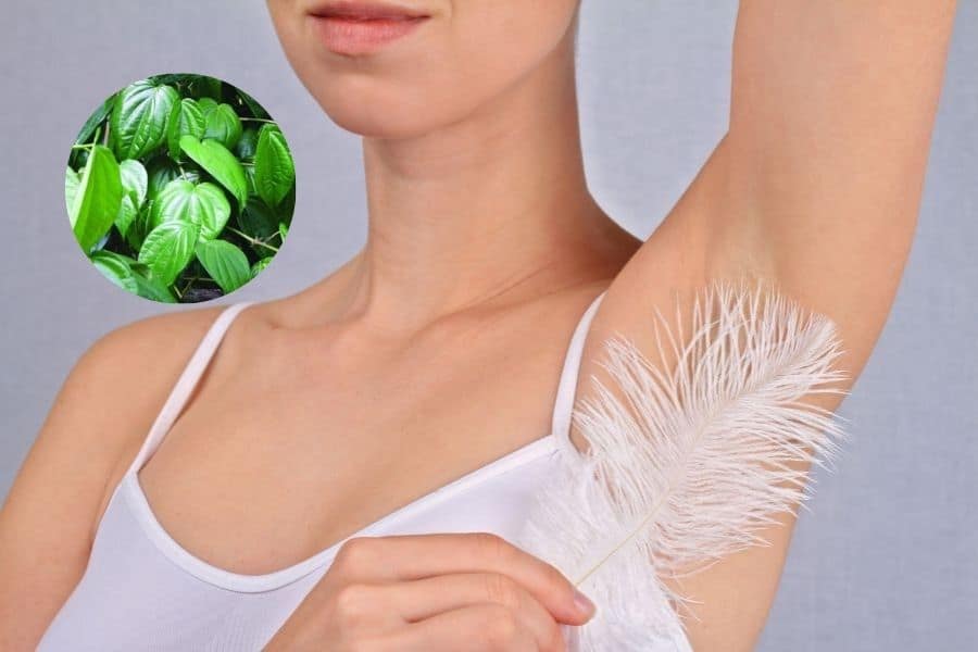 tay long voi la trau khong voi nhieu vung khac nhau tren co the