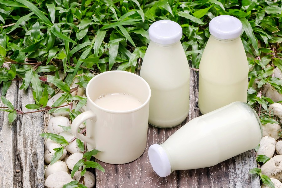 Sữa tươi có khả năng tẩy tế bào chết vô cùng hiệu quả