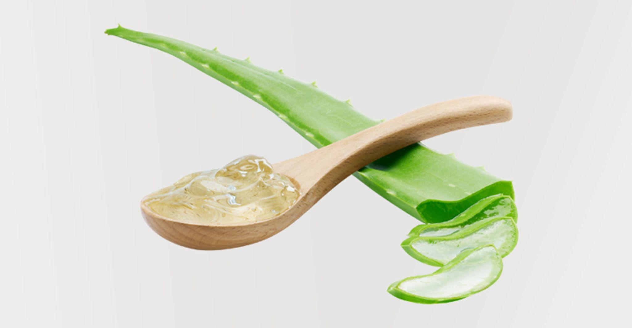 Viêm nang lông là gì? Nguyên nhân, dấu hiệu và phòng ngừa 6 Trị viêm nang lông tại nhà bằng nha đam