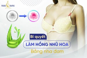Mách nhỏ các cách làm hồng nhũ hoa bằng nha đam siêu đơn giản cho phái đẹp
