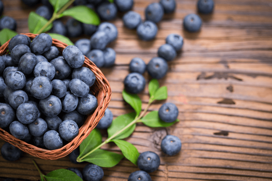 Blueberry chứa Anthocyanin và Vitamin C mạnh mẽ, giúp trung hòa gốc tự do và bảo vệ DNA tế bào