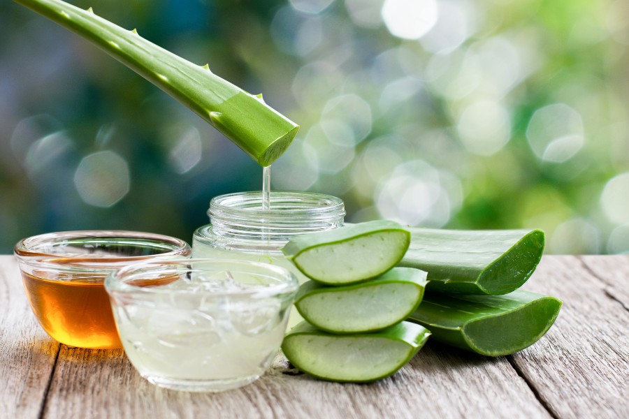 Trị sẹo thâm bằng nha đam và mật ong tại nhà Trị sẹo thâm bằng nha đam và mật ong tại nhà