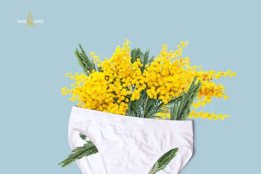 Cạo lông vùng kín nữ có ảnh hưởng gì không? Một số lưu ý 3 Lông vùng kín hỗ trợ duy trì sức khỏe cô bé