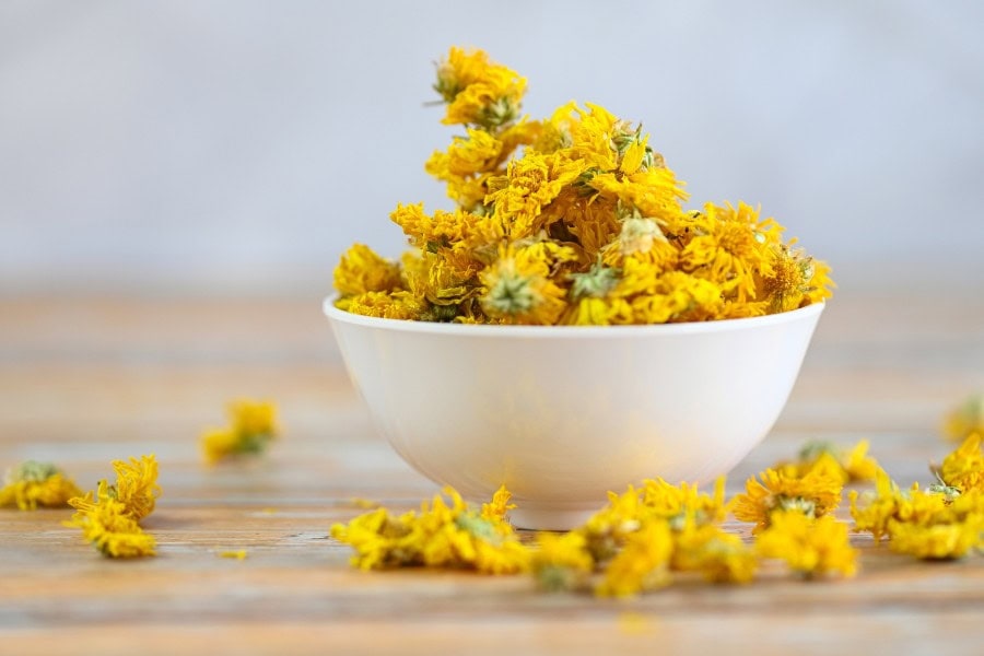 Triệt lông bằng thảo dược hoa cúc phù hợp với người muốn chăm sóc diện rộng như tay, chân hoặc lưng