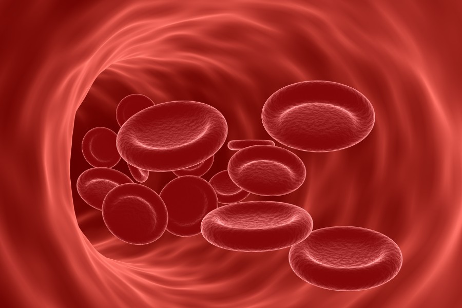 tại sao môi thâm môi thâm do thiếu hụt hemoglobin gây ra thiếu máu
