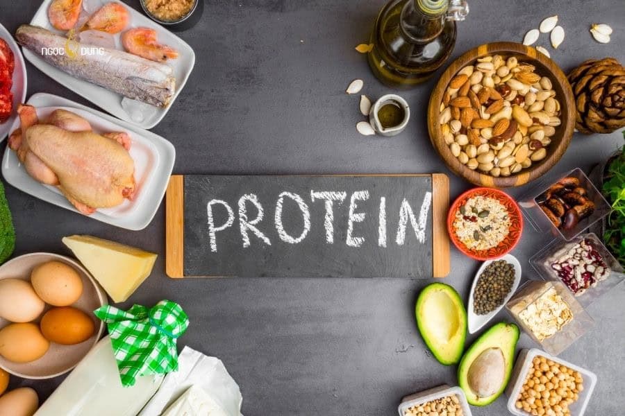 Thực phẩm giúp trẻ hóa làn da: Danh sách cập nhật chi tiết 5 Protein cũng là một trong những thành phần hỗ trợ trẻ hóa da