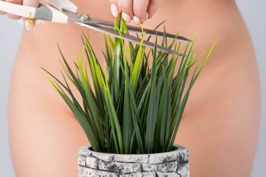 Cạo lông vùng kín nữ có ảnh hưởng gì không? Một số lưu ý 5 Tỉa ngắn lông giúp dao cạo hoạt động hiệu quả hơn