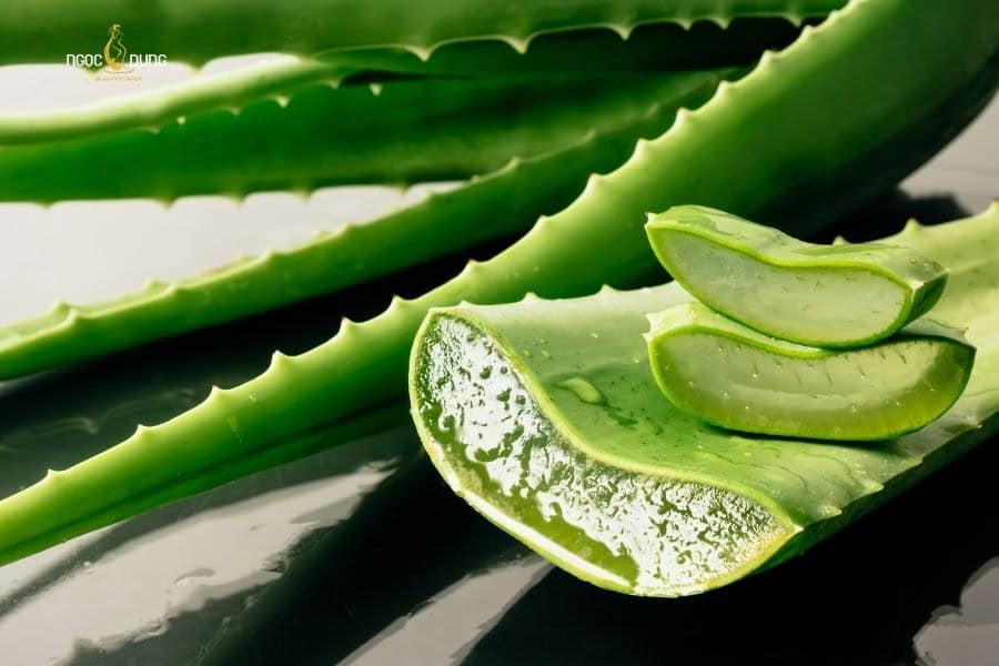 Tại sao môi thâm? Nguyên nhân, dấu hiệu và khắc phục 8 Gel nha đam vừa hỗ trợ trị thâm vừa dưỡng ẩm môi hiệu quả
