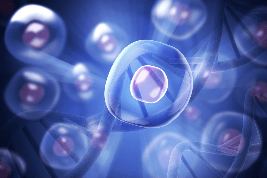 Tế bào gốc trị sẹo rỗ là phương pháp điều trị thẩm mỹ để phục hồi cấu trúc da bị tổn thương