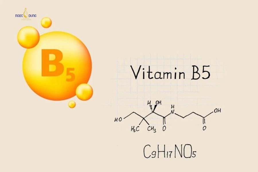 Tác dụng của Vitamin B5 với da mặt và giải pháp phục hồi 6 Bổ sung đầy đủ vitamin B5 giúp củng cố hệ thống miễn dịch của toàn cơ thể