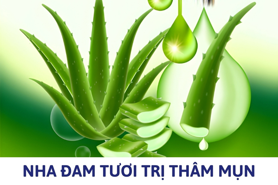 Đắp nha đam tươi là cách trị thâm mụn đơn giản