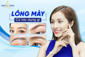 long may co tac dung gi