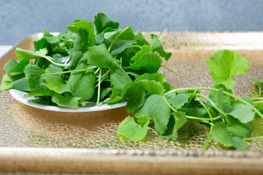 Những lợi ích nổi bật của mặt nạ rau má 