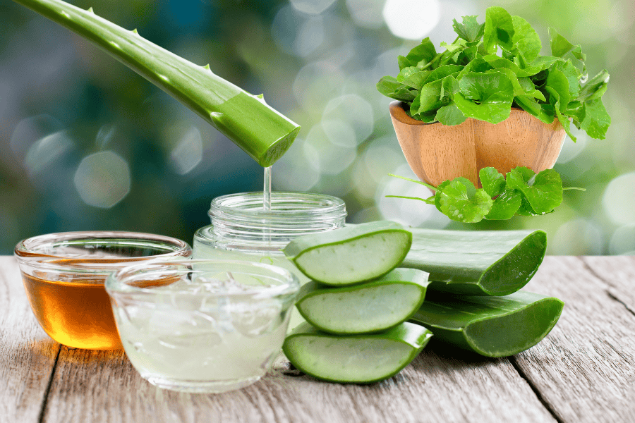 Rau má và nha đam là bộ đôi làm dịu da hàng đầu trong làm đẹp tự nhiên