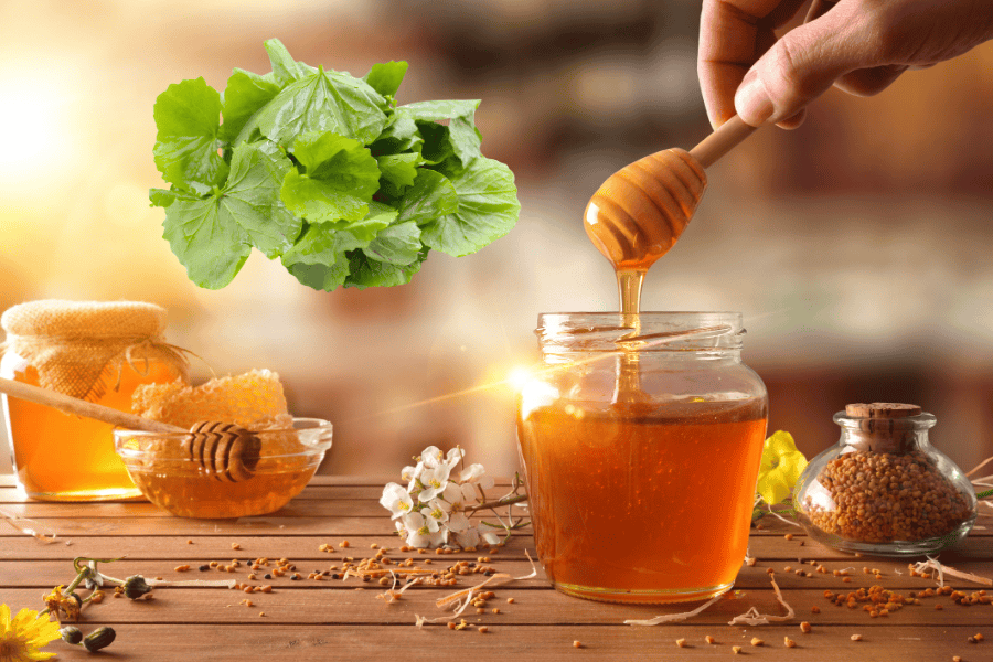 Sự kết hợp giữa rau má và mật ong nguyên chất tạo nên công thức dưỡng ẩm sâu, phục hồi hàng rào bảo vệ da và mờ thâm mụn hiệu quả