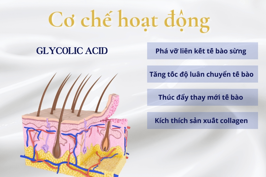 Glycolic acid là gì? Công dụng và cách dùng hiệu quả 4 Tìm hiểu về cơ chế hoạt động của Glycolic Acid trên da