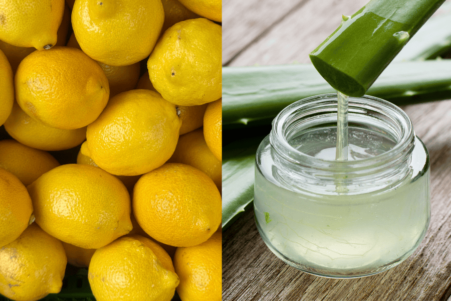 Trộn 2 muỗng canh gel nha đam với ½ muỗng cà phê nước cốt chanh tươi và thoa trực tiếp lên mặt