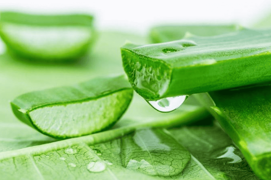 Xay nhuyễn hoặc dùng nguyên miếng đắp lên mặt để dưỡng ẩm