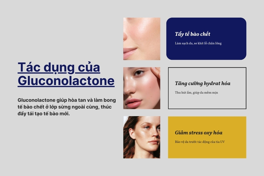 Tác dụng của Gluconolactone là gì?