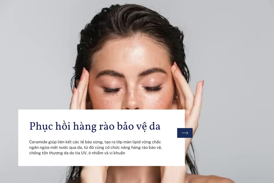 Phục hồi hàng rào bảo vệ da, chống các tác nhân gây hại