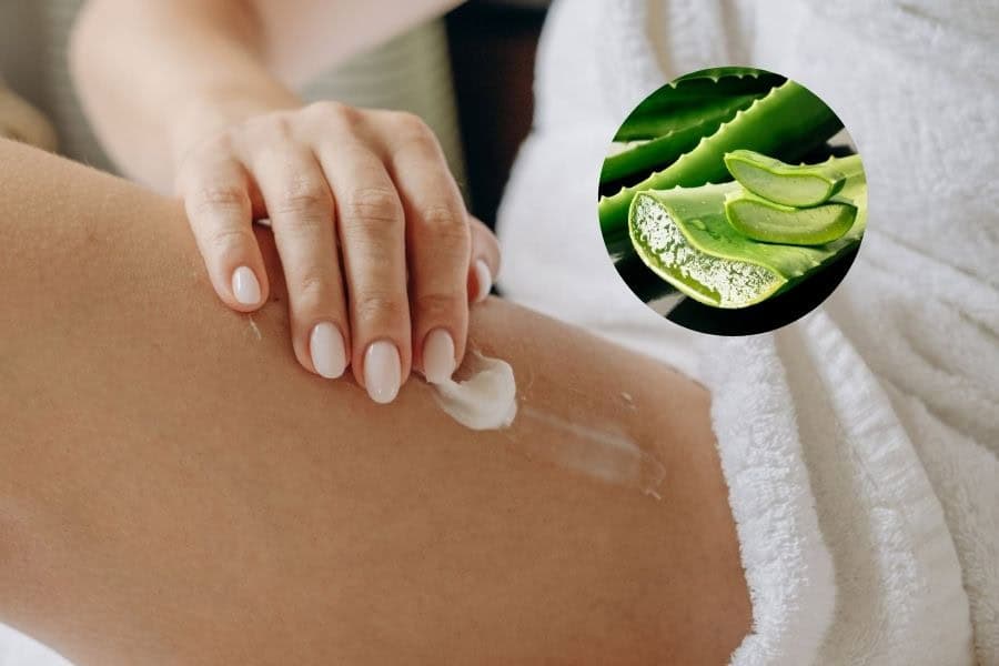 Hãy ưu tiên lotion hoặc gel có chiết xuất lô hội để làm dịu da sau wax lông