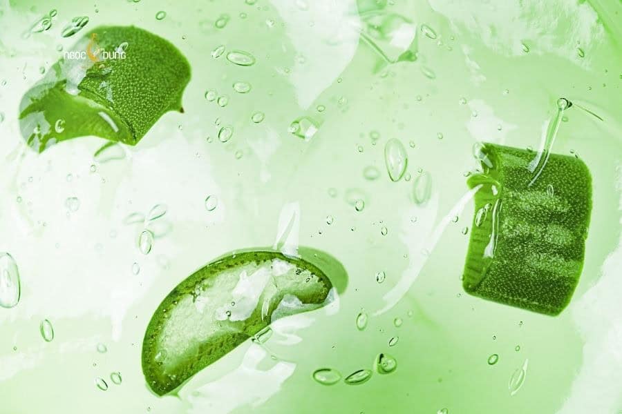 Hướng dẫn cách tỉa lông vùng kín nữ bằng kéo an toàn 14 dung nha dam giam ngua vung kin sau khi tia long