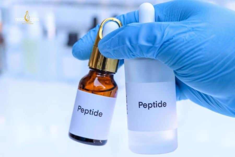Peptide là thành phần tạo nên câu trúc nâng đỡ giúp da duy trì sự mịn màng 