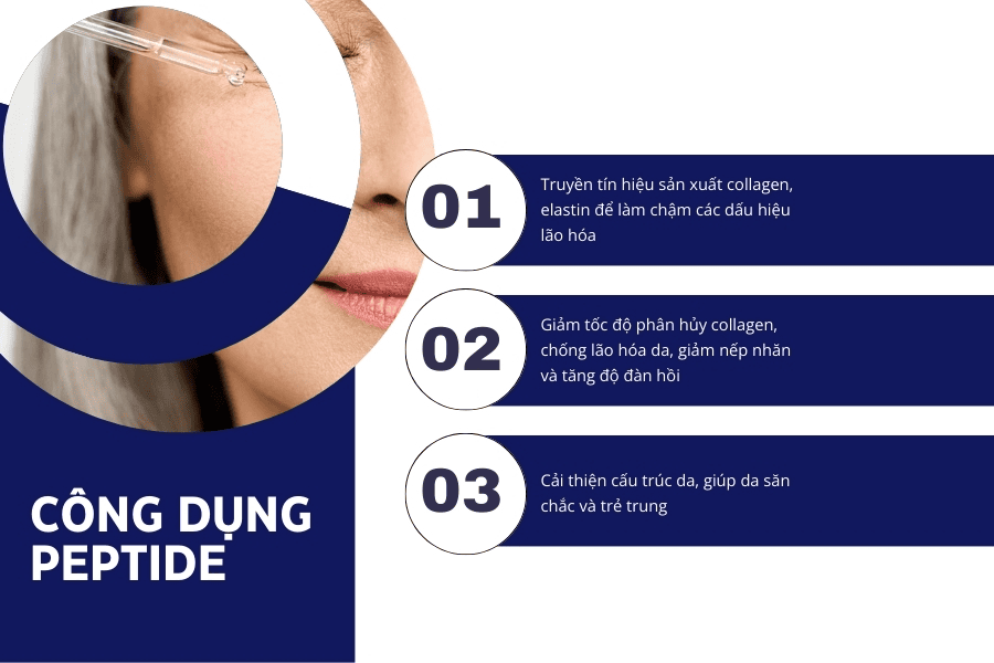 Peptide là gì trong mỹ phẩm? Giải pháp vàng trẻ hóa da 4 Peptide tác động trực tiếp lên gen elastin, giúp làn da khôi phục khả năng co giãn tự nhiên, ngăn ngừa tình trạng chảy xệ