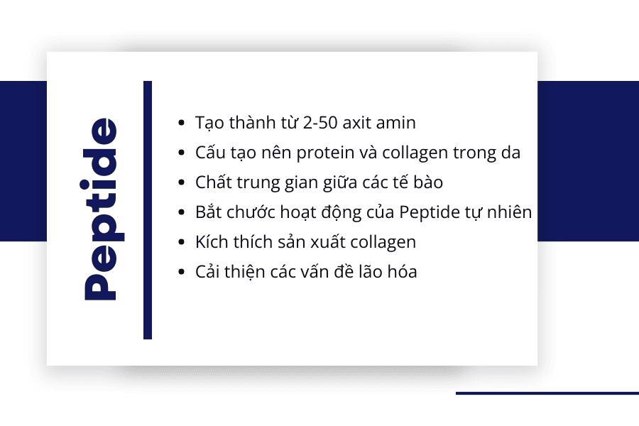 Peptide là gì trong mỹ phẩm? Giải pháp vàng trẻ hóa da 3 Peptide trong mỹ phẩm là các phân tử protein kích thước nhỏ, được cấu thành từ chuỗi liên kết của 2 đến 30 axit amin