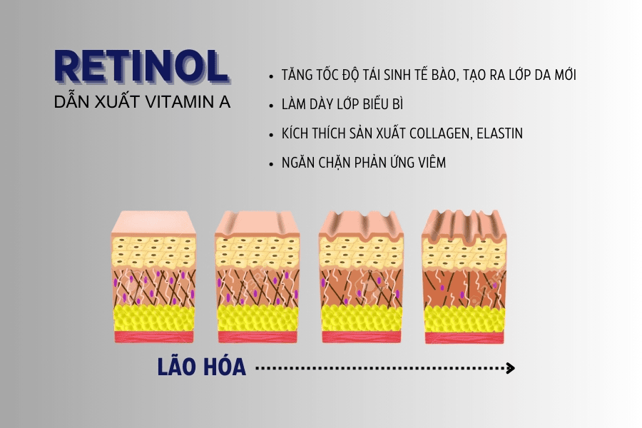 Retinol là một dẫn xuất của vitamin A, nổi tiếng with khả năng kích thích tái tạo tế bào da và điều chỉnh quá trình sản xuất dầu thừa