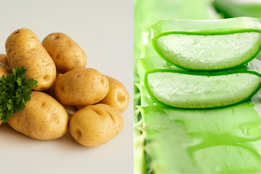 Khoai tây và nha đam giúp làm mịn da, mờ thâm nhanh chóng