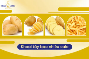 1 Củ khoai tây bao nhiêu calo? Ăn khoai tây có béo không?