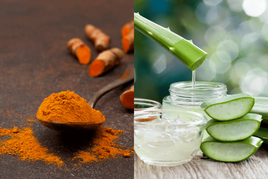 Nghệ và nha đam giúp kháng viêm và dịu da hiệu quả