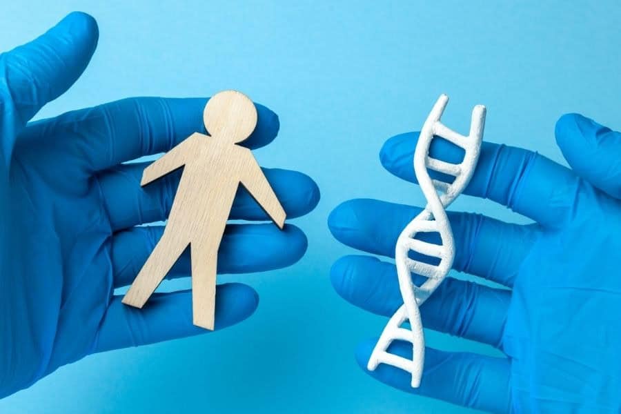 Di truyền là yếu tố nền tảng quyết định các đặc điểm sinh học của hệ thống lông trên cơ thể