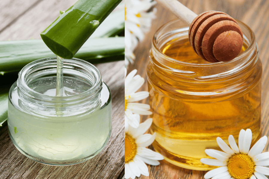 Gel nha đam và mật ong giúp kháng khuẩn và tránh tăng sắc tố sẫm màu