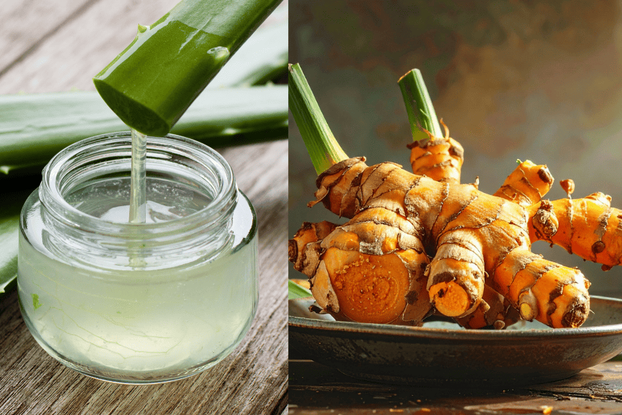 Nha đam và nghệ giúp làm dịu da và cấp ẩm nhanh chóng