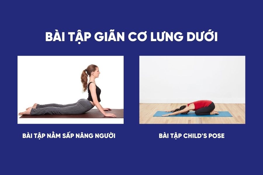 Bài tập giãn cơ lưng dưới