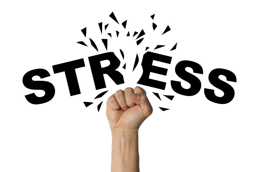 Stress là tình trạng thường gặp khi bạn kiêng ăn quá khắt khe