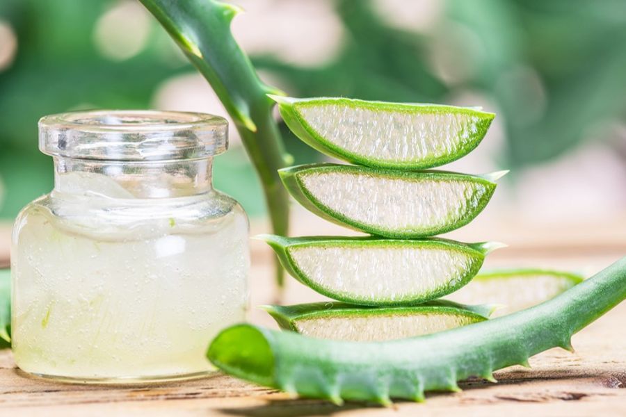 Nha đam là nguyên liệu mang lại nhiều lợi ích trong làm đẹp