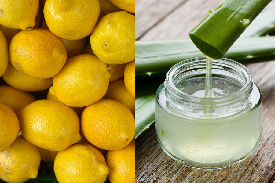 Nha đam và chanh tươi giúp làm sáng vùng da thâm sau khi bị mụn viêm